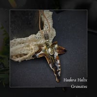 Image 1 of ☽ Hedera Granatus ☾