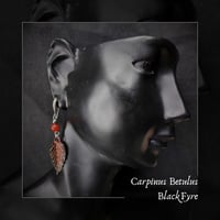 Image 1 of ☽ Carpinus BlackFyre ☾