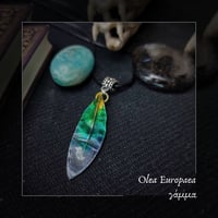 Image 3 of ☽ Olea Europaea ☾