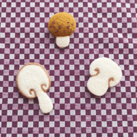 Image 1 of Mushroom Magnets