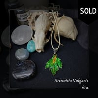 Image 11 of ☽ Artemisia Vulgaris ☾