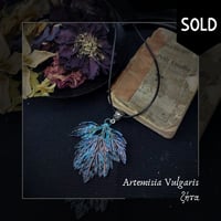 Image 10 of ☽ Artemisia Vulgaris ☾