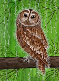 Image 1 of Tawny Owl