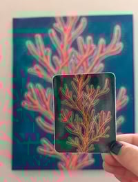 Image 2 of Tranquil Coral holographic sticker