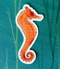 Image 1 of Seahorse sticker