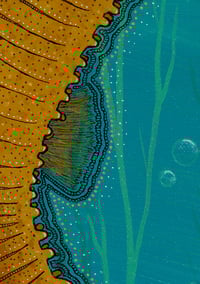 Image 3 of Serene Seahorse