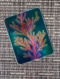 Image 3 of Tranquil Coral holographic sticker