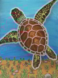 Image 1 of Sea Turtle Sixty