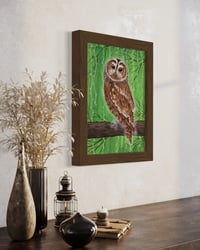 Image 3 of Tawny Owl