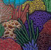 Image 2 of Rainforest of the Sea