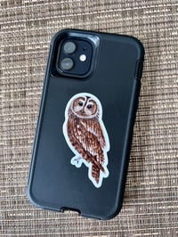 Image 3 of Tawny Owl sticker
