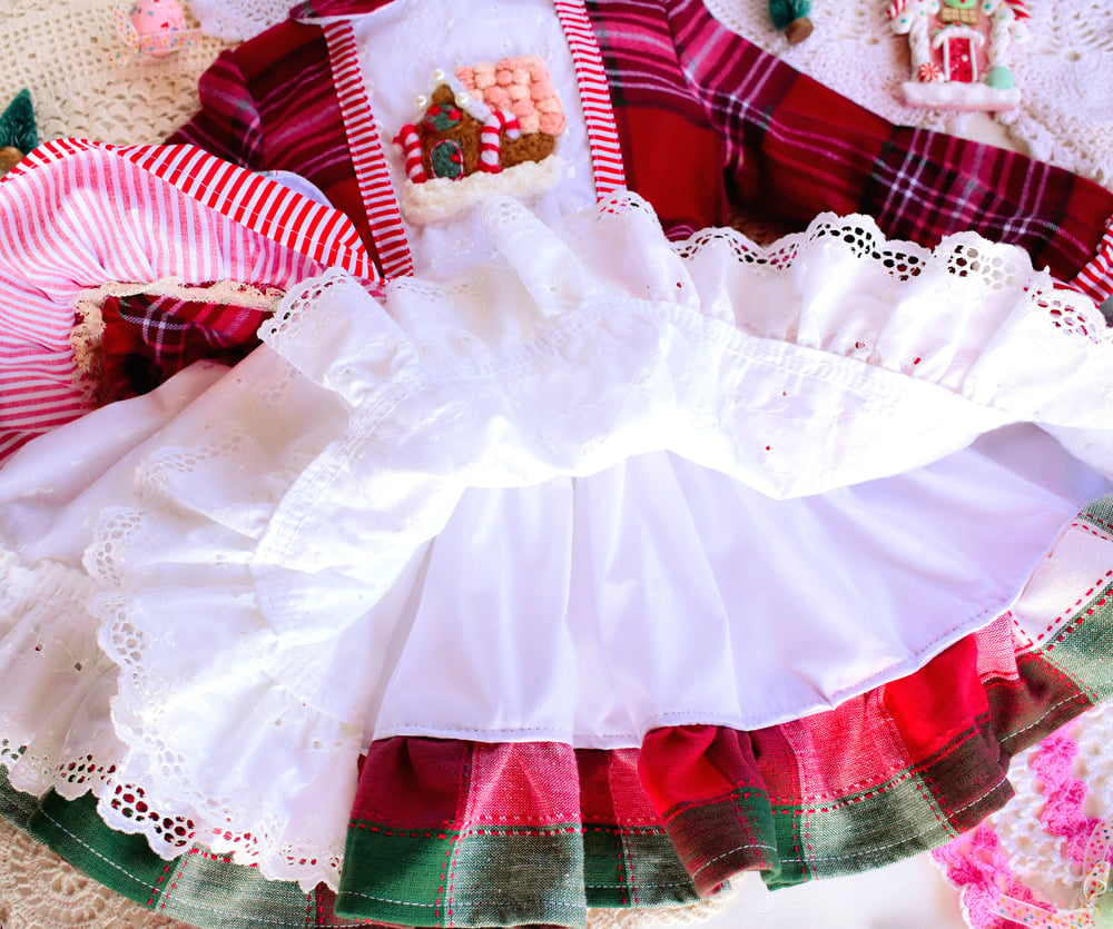 Image of Gingerbread House Wynter Dress no. 006