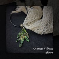 Image 1 of ☽ Artemisia Vulgaris ☾