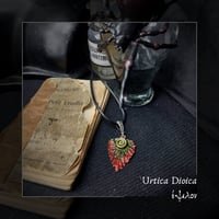 Image 1 of ☽ Urtica Dioica ☾