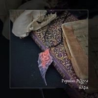 Image 1 of ☽ Populus Nigra ☾