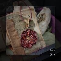 Image 1 of ☽ Rosa ☾