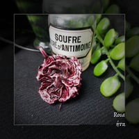 Image 3 of ☽ Rosa ☾