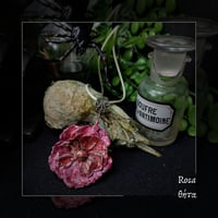 Image 5 of ☽ Rosa ☾