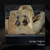 Image 1 of ☽ Syringa Violacea ☾