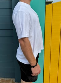 Image 3 of TERRY TOWEL T