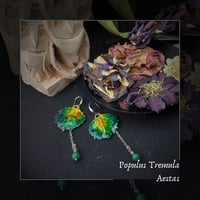 Image 1 of ☽ Populus Tremula Aestas ☾