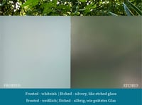 Image 2 of Custom window films - grass with birds and honeycombs
