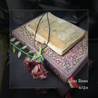 Image 1 of ☽ Alcea Rosea ☾