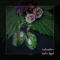 Image 1 of ☽ Salix Rigel ☾