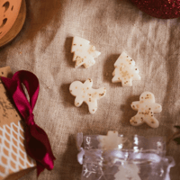 Image 4 of Box of Gingerbread Men + Christmas Tree Wax Melts