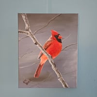 Image 3 of Cardinal - 8" x 10"