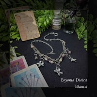 Image 1 of ☽ Bryonia Bianca Viola ☾