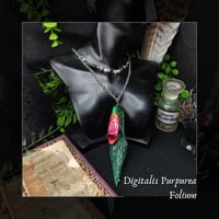 Image 1 of ☽ Digitalis Folium ☾