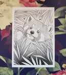 Image 1 of Red panda A5 print