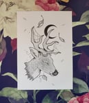 Image 1 of Deer A5 print