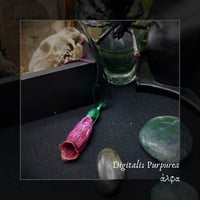 Image 1 of ☽ Digitalis Purpurea ☾