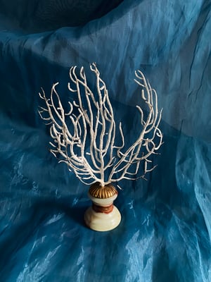 Image of Création unique : gorgone montée sur socle en onyx