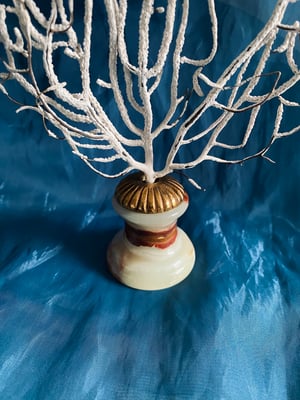 Image of Création unique : gorgone montée sur socle en onyx