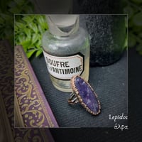 Image 1 of ☽ Lepidos ☾