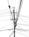 Power Lines Drawing #126 (Ferndale, MI)