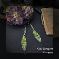 Image 1 of ☽ Olea Viridium ☾