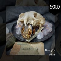 Image 5 of ☽ Bronzite ☾