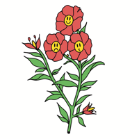 Image 1 of LÁMINA "FLORESKID"