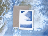 Image 4 of DotP8rn Collection
