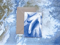 Image 5 of DotP8rn Collection