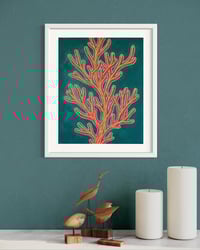 Image 4 of Tranquil Coral