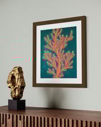 Image 5 of Tranquil Coral