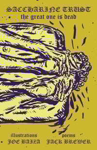 SACCHARINE TRUST - The Great One Is Dead / Album Companion → chapbook + digi dl code (option)