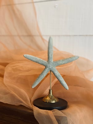 Image of Création unique : étoile de mer sur socle