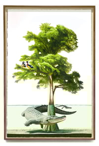 Second Nature