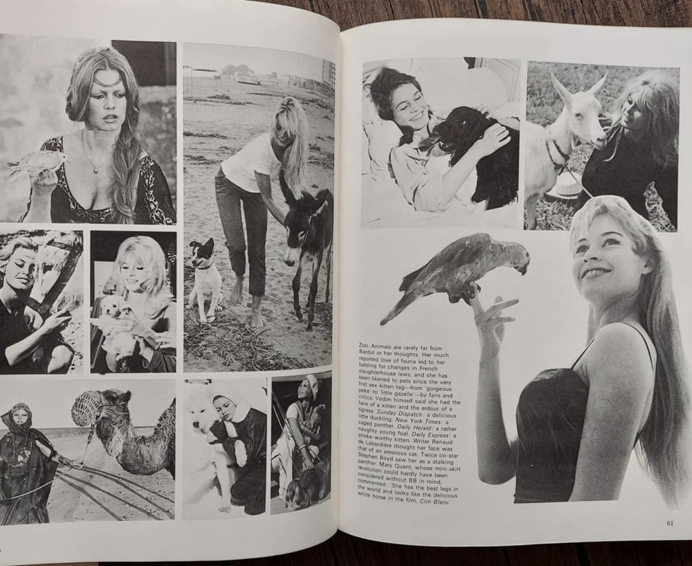 Bebe: The Films of Brigitte Bardot, by Tony Crawley